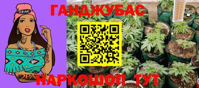 шишки Славянск-на-Кубани