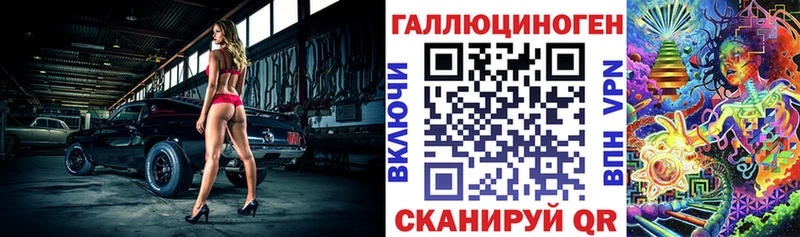Галлюциногенные грибы Psilocybe  Аша 