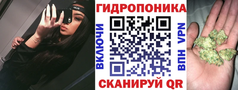 Бошки марихуана AK-47 Аша